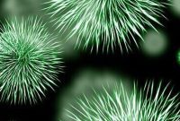 The Secret Life of Mouth Germs