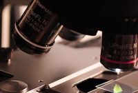 Gum Disease Fuels Cancer Risk