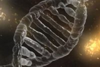 The Unfulfilled Promise of Genetics