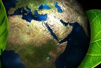 Sustainable Smiles: Holistic Dentistry for a Healthier Earth