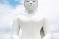 Brisbane Whole-Person Dental Wellness