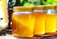 Honey Nature’s Health Elixir