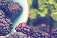 Reverse Gum Disease: The Comprehensive Guide Beyond Oral Hygiene