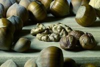 Unlocking the Power of Magnesium