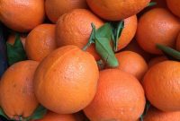 Vitamin C for Bleeding Gums: Does It Work