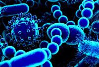 The Oral Microbiome: Your Mouth’s Hidden Link to Whole-Body Health