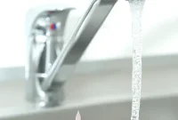 Water Fluoridation: Exploring the Scientific Evidence