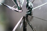 Cracked Teeth: What You Need to Know Now