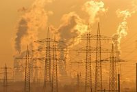 Heavy Metal Burden: Exposure and Elimination